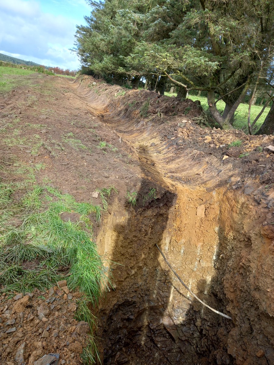 DuhallowBlueDot tweet media