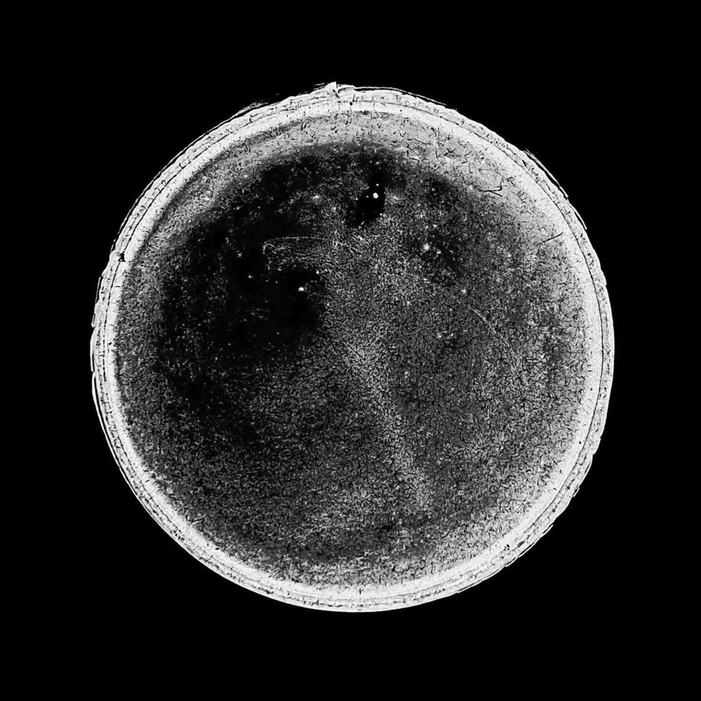 generativehut's tweet photo. #generativeart Artist • @satoproject #sato_016
.
.
.
.
.
.
.
#abstract_art #abstract_photography #abstract_ #abstractblackandwhite #abstrait #noirabstrait #nftincoming #deepblack #circular #circles #blackcircle #circleart #circlesociety https://t.co/egTHfXnwy6