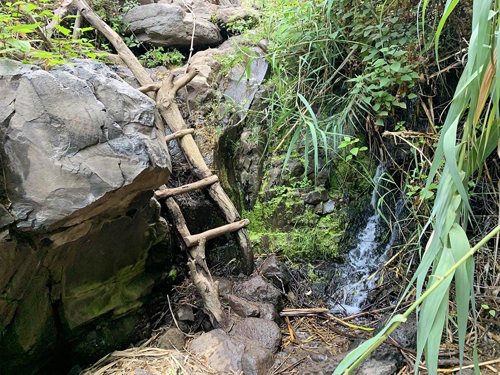 lagran_escapada's tweet photo. #LaGranGomera es perfecta si te encanta el senderismo 🥾 y la naturaleza 🌱 Además de Garajonay, hay rutas 😍 que la isla guarda en secreto para quien la recorre sin prisa. La de la Cascada de #Arure es una de ellas. Divertida y con sorpresa final! 🤩

https://t.co/7HFalritpf https://t.co/y5vOJz23dG