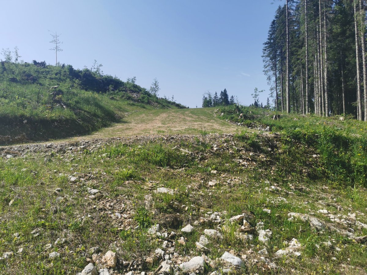 PokljukaP's tweet photo. 💡🤓 Najboljšo pokrivnost tal, cca. 65 %, smo dosegli pri uporabi ohranjevalne semenske mešanice in uporabi neuvelega rastlinskega materiala 💪 https://t.co/J21qGloNiI