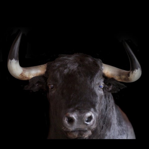 juritologa's tweet photo. #NuevaFotoDePerfil https://t.co/pmHfpjlHl4