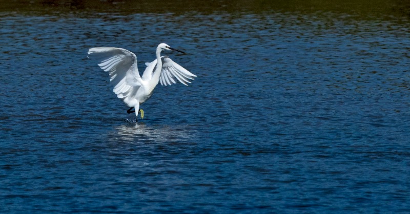 EU_Commission's tweet photo. Nitrates are still causing harmful pollution to water in the EU, based on our new Report on the implementation of the Nitrates Directive.

The pace of change over the last decade is not enough to prevent damage.

We will act to improve compliance with the directive.

#EUGreenDeal