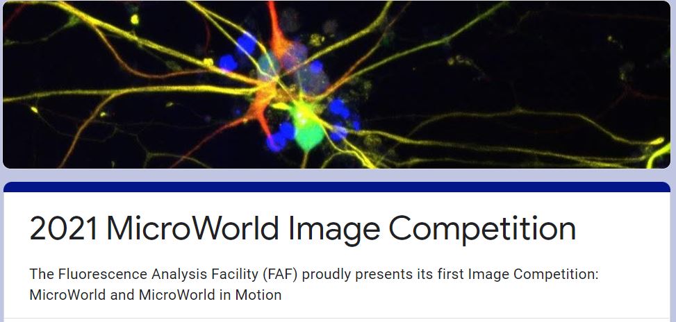UOWFluorescence's tweet photo. Proud to present the first Molecular Horizons Image Competition. MicroWorld and MicroWorld in Motion. Just over a week before it closes. Send your cool images!
Entries close 5pm AEST on Wednesday 20th October 2021. https://t.co/MyFIzBCSbc
@MolHorizons @ihmri @UOW https://t.co/SB9CAJr5bd