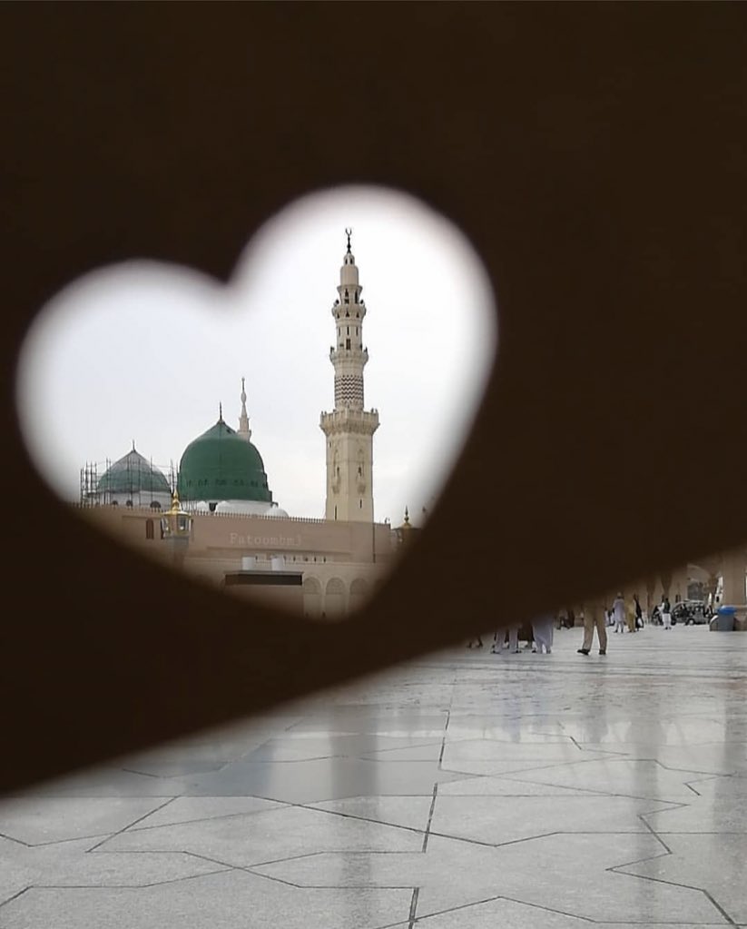 shaad201333's tweet photo. وكأنما سكينه الدنيا كلها جمعت فيها ☘️

اللهم صلي وسلم على ساكنها

 #المدينه_المنوره https://t.co/d3ddre6c88