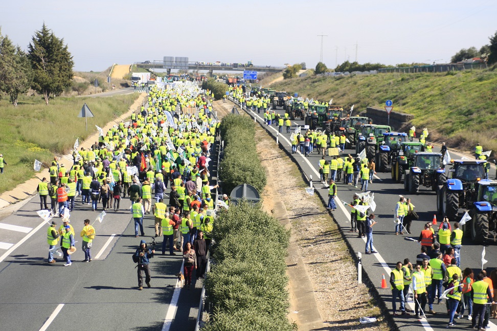 ASAJASEVILLA's tweet photo. ➡️Agricultores👨🏽‍🌾👩🏽‍🌾y ganaderos 🤠de toda Andalucía se manifiestan el jueves🗓️en Sevilla📌para exigir a @LuisPlanas que rectifique.

➡️Su Plan Estratégico de la #PAC deja:

⏩Pérdidas de + de 180 mill/€ año😡

⏩50.000 perceptores fuera del sistema😱
  
+👉🏽https://t.co/FKyOqK5ps8 https://t.co/UPBhqebZ3Q