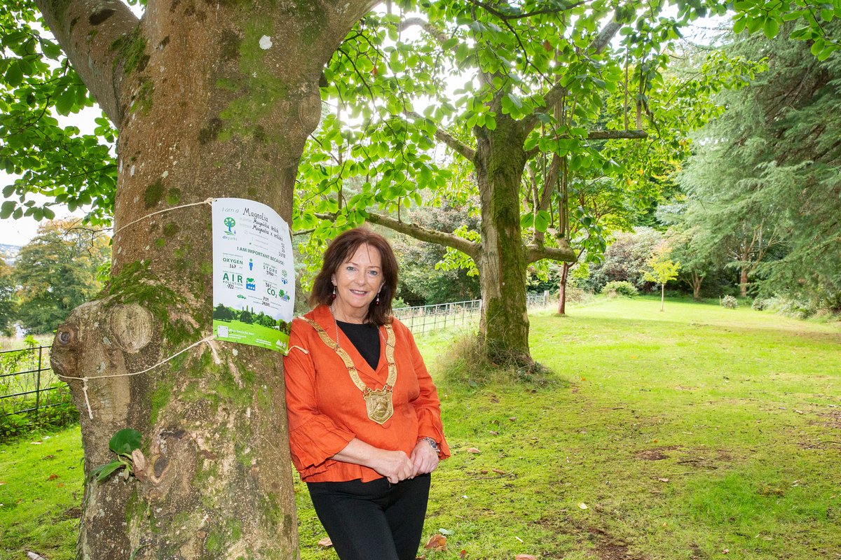 dlrcc's tweet photo. To highlight the importance of trees, we have placed educational tree tags across Fernhill Park &amp; Gardens.

These tags will be rolled out across parks in the County over the coming weeks. 
Locations can be found on the interactive map here: https://t.co/iP49UY25at

#Treetags
🌲🍃 https://t.co/3o69hrMYrF