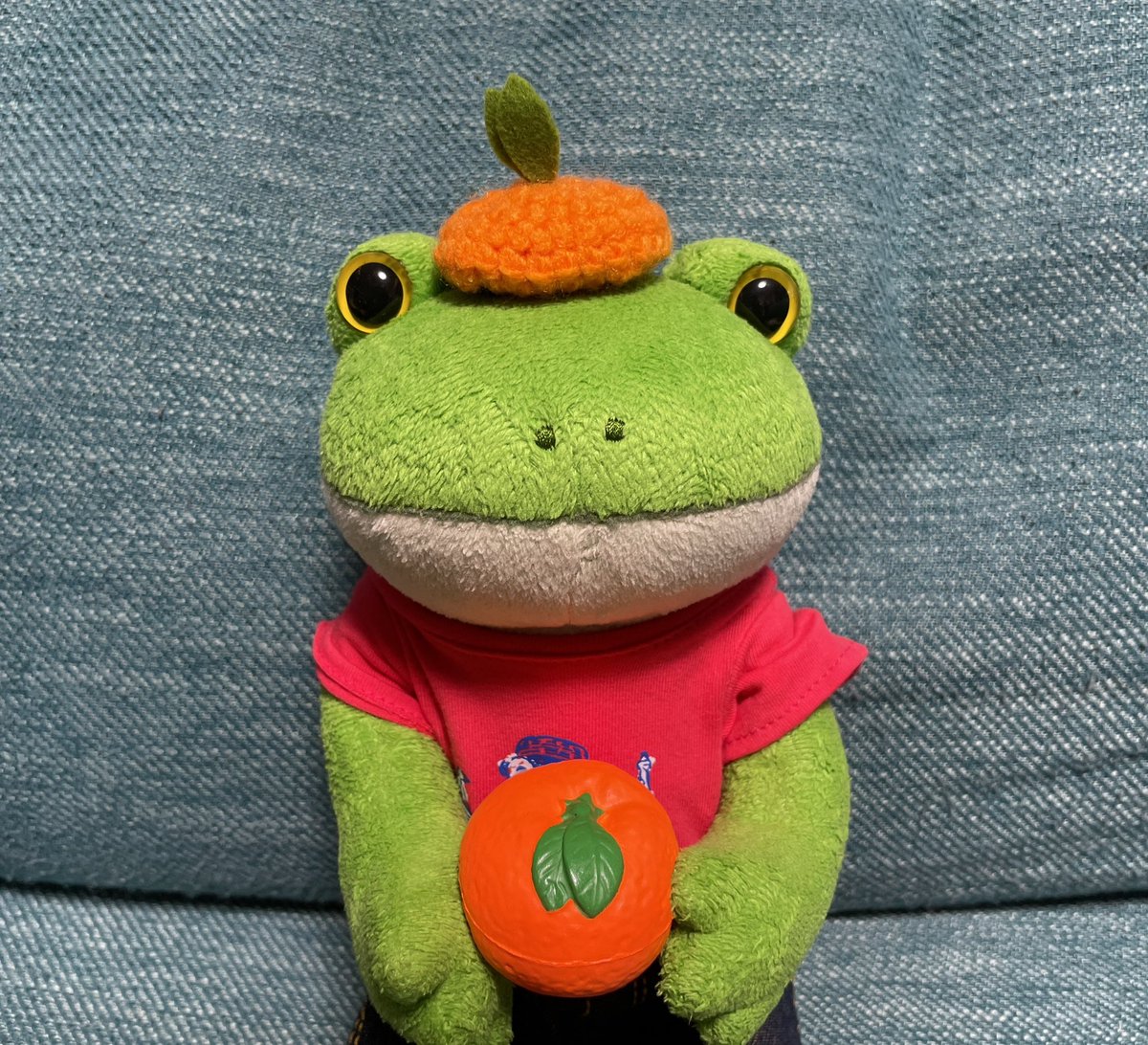 gichorabbit's tweet photo. 🐸みみちさん @DHIcyanROPUcyan のプレゼント企画で、可愛らしい手編みの帽子をいただきました😍💖
写真が上手く撮れなくて遅くなってしまいました💦
どれもめちゃめちゃ可愛い❤️
みみちさん、本当にありがとう〜💖

#手編みの帽子 #コポー #ぬいぐるみ #ぬい撮り #かえる https://t.co/b3JMzOETlT