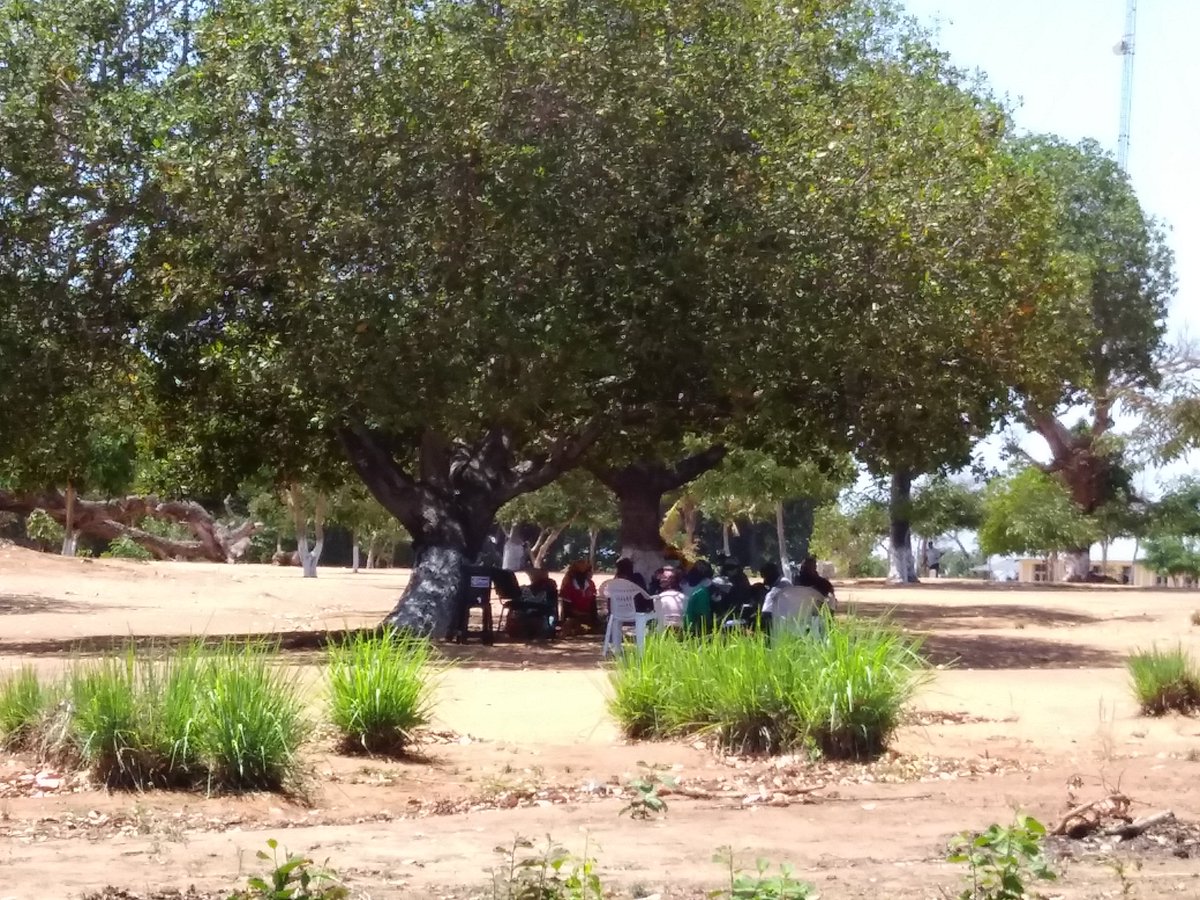 Building a toolkit to support #climate ready #agriculture that lasts and benefits smallholder farmers starts with learning about their needs and practices. Visiting the villages of #Namachepa & #Rieque to learn from local knowledge to design adapted #climateservices. #impact