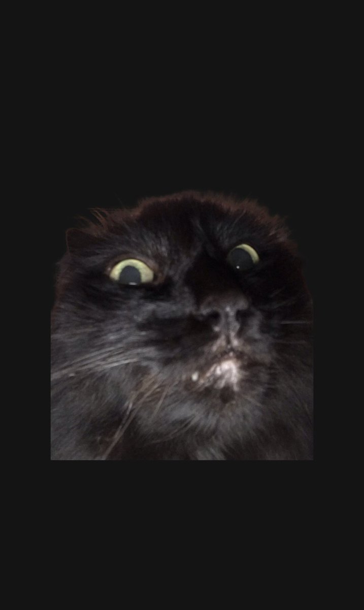 Coucou