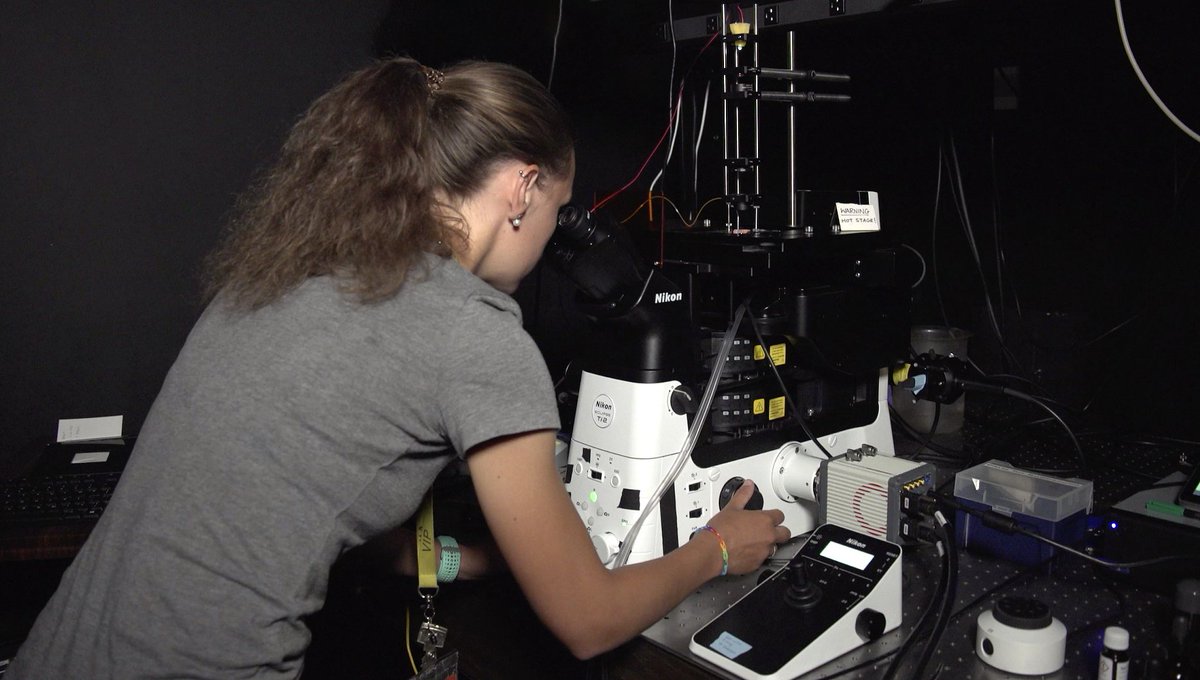 OpticalBiology's tweet photo. Applications are OPEN for the
@wellcometrust @UCL PhD Programme in #OpticalBiology! Apply here: https://t.co/vX78vCwHKg
Want to know more about the Programme? Check out this short video! https://t.co/BeWhw8H0x9
@uclmaps
@UCLLifeSciences
@UCLBrainScience https://t.co/qUMwExsziX