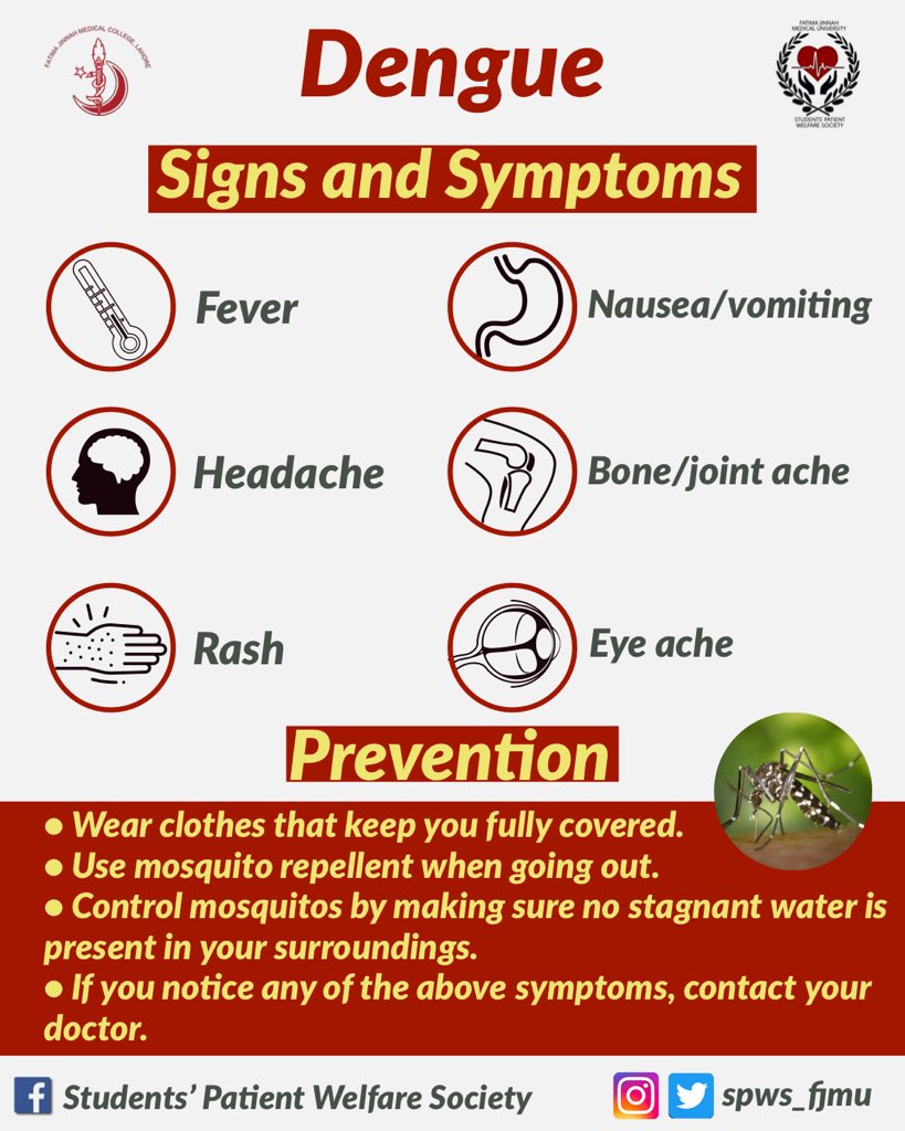 SPWS_FJMU's tweet photo. #dengueepidemic https://t.co/BvCuUQwwMU