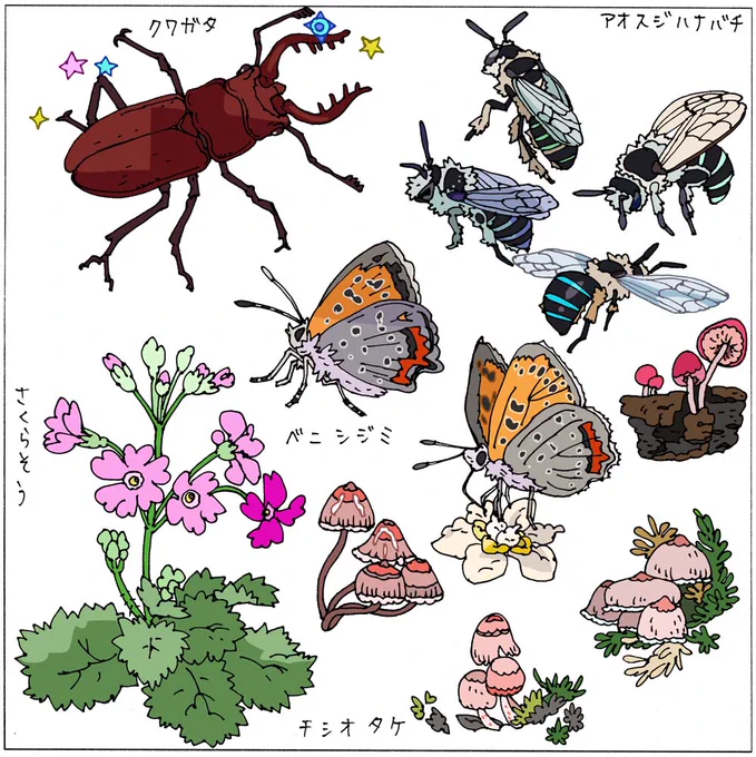 自然にはいろんな色が溢れてる🐝✨ 