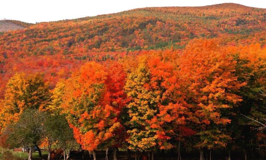 connienis's tweet photo. Nobody paints like Mother Nature! https://t.co/GOhGwTt0EF
