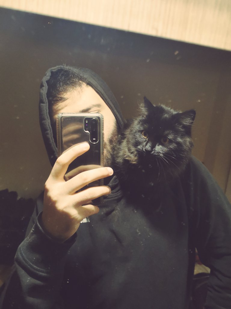 Hash | Raven tweet media