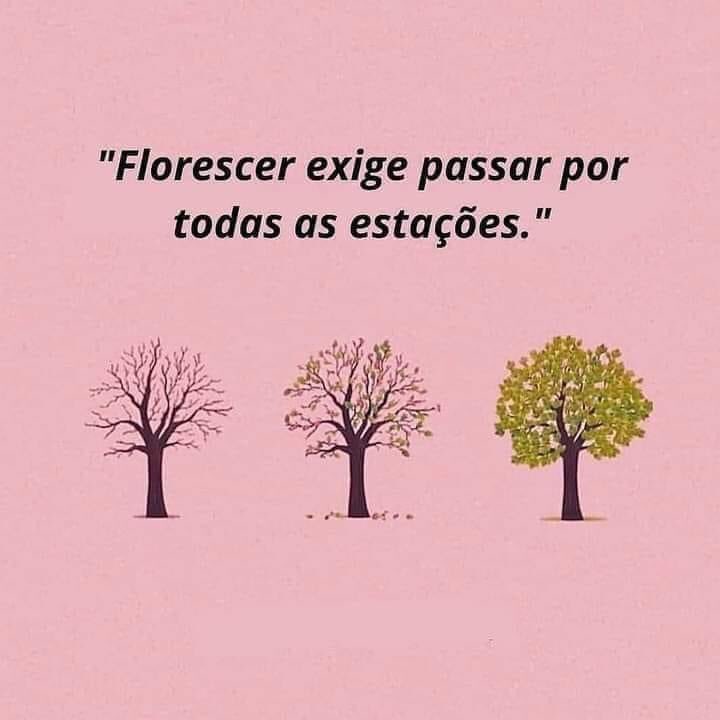 tunicodesouza51's tweet photo. Curta se, ninguém sente sua dor e ninguém será feliz por você .
Reta é a vida https://t.co/NF3j1AuxdL