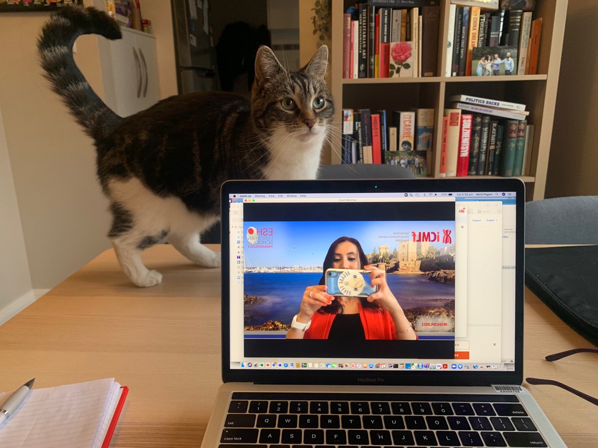 Dr_IlaPagani's tweet photo. Ready for the #ESHCML2021 #ESHconference for talking about my most recent work on #CML!
#WomenInSTEM #WomeninScience @sahmriAU #science #zoomlife https://t.co/UfXURauwOf