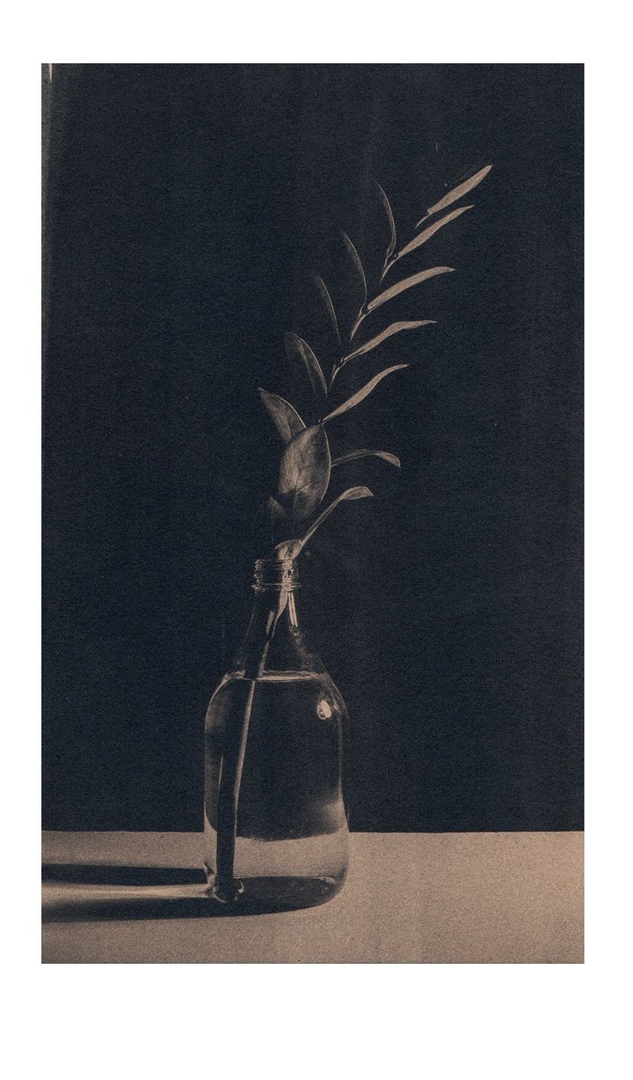 kongkhaow's tweet photo. Cyanotype collection - Bang Saray by Watcharapat Kongkhaow

0.01-0.05 ETH.

#nftcollector #nftcollection  #NFT #opensea #OpenSeaNFT #nftdrop #NFTCommunity #nftphotography  #NFTTHAILAND  #cyanotype #Bluesun 

https://t.co/H0FShNn1WA https://t.co/wxT5698bth