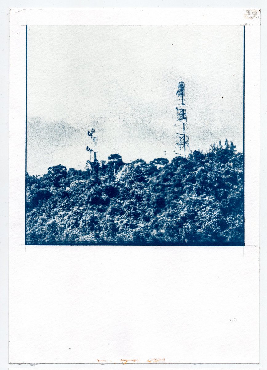 kongkhaow's tweet photo. Cyanotype collection - Bang Saray by Watcharapat Kongkhaow

0.01-0.05 ETH.

#nftcollector #nftcollection  #NFT #opensea #OpenSeaNFT #nftdrop #NFTCommunity #nftphotography  #NFTTHAILAND  #cyanotype #Bluesun 

https://t.co/H0FShNn1WA https://t.co/wxT5698bth