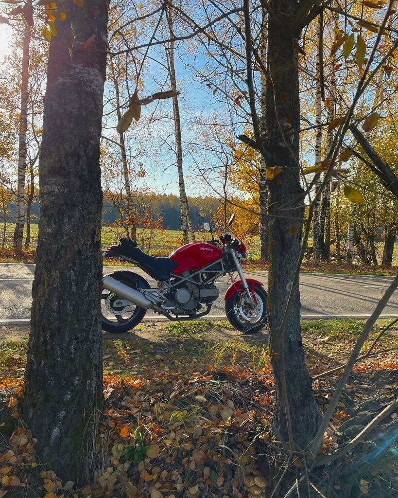 eliiaramusic's tweet photo. And so it comes to an end, this beautiful fall 🍁🍁🍁🧡🧡🧡
#ducatimonster #ducatinsta #motoautumn #landofjoy #monster400 #closingseason https://t.co/RwDC9iZXIS https://t.co/iiuac0d37W