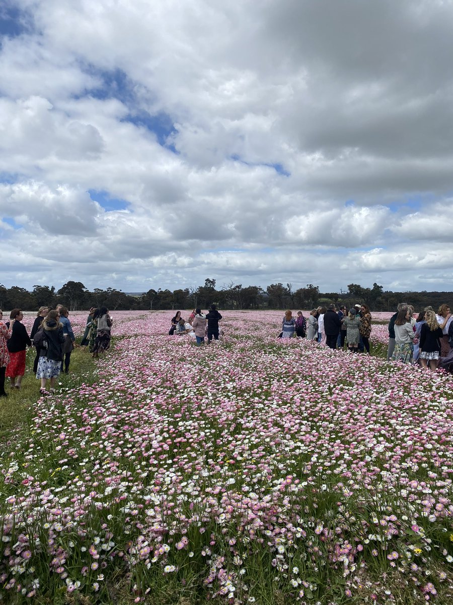 korellup's tweet image. On Saturday @Everlastingsfun held a #longtableluncheon to raise money for @BreastCancer_WA. It was incredibly successful raising $30k+. A huge thank you to all the wonderful businesses and individuals who supported the event.
