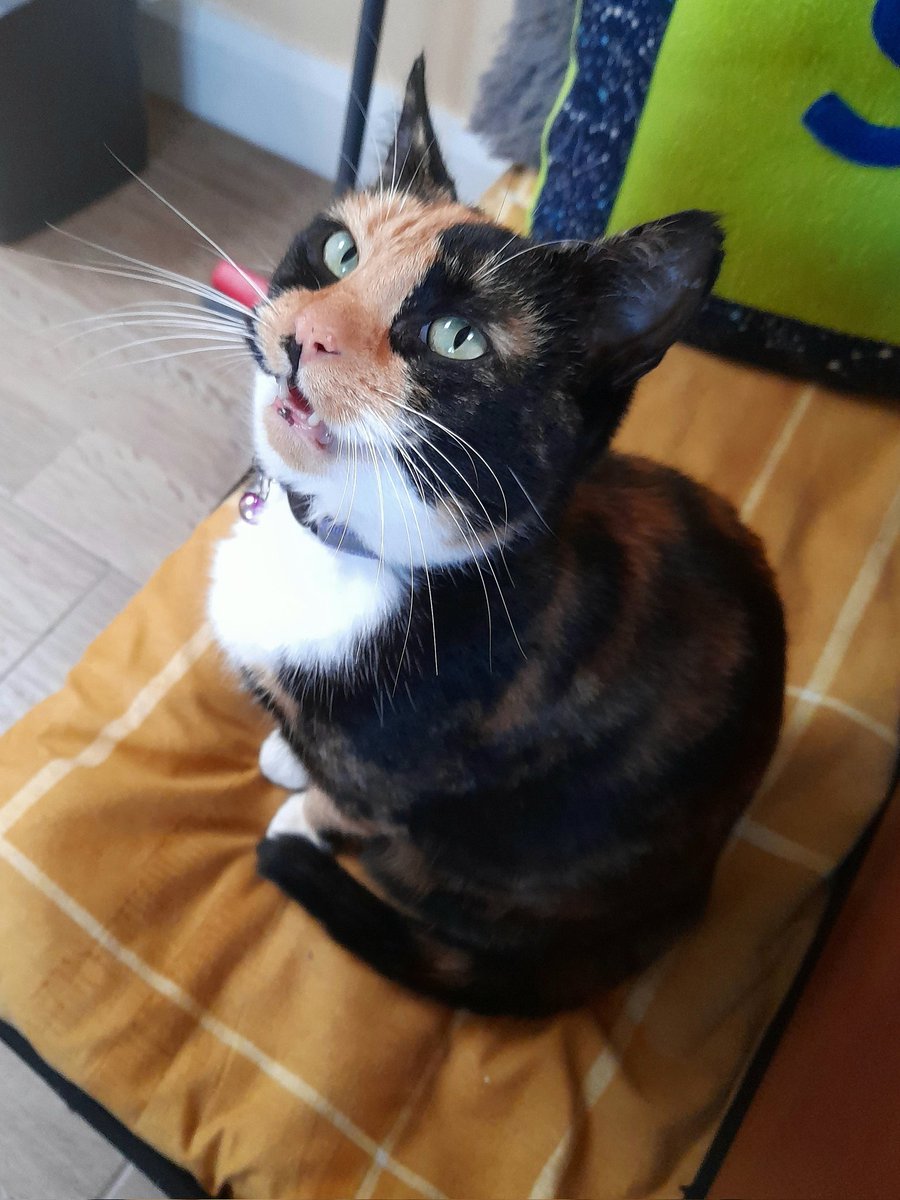 I'm the hapy and smiley girl today. I hope you guy's are also haveing a good day,