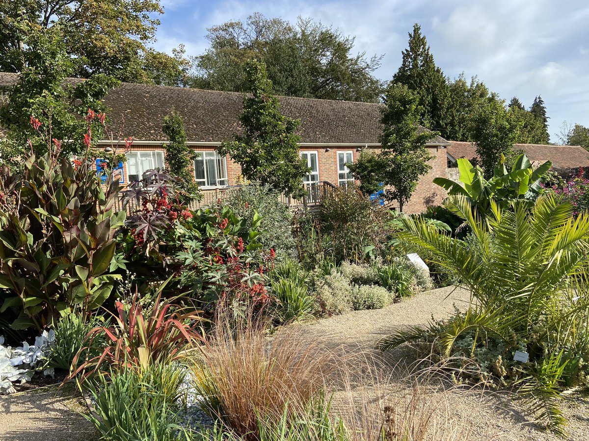 GeogDept_WHS's tweet photo. We have had an amazing morning with our academic scholars from @WimbledonHigh and @BrightonGirls at One Garden in Brighton learning about sustainable gardens including: drought tolerant plants, medicinal gardens, hydrophonics and urban gardens. https://t.co/KiljrAM44H