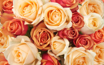 Liberty Security - A GardaWorld Company tweet media