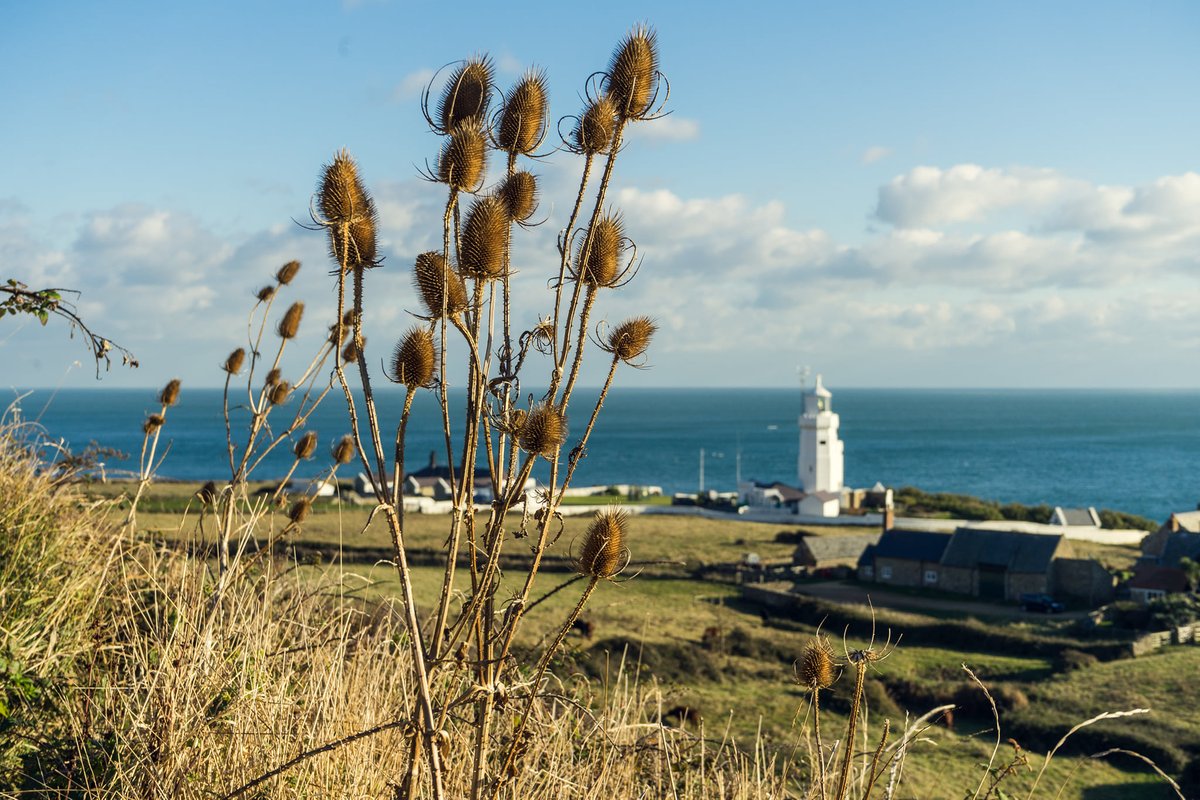 IOWTravelAMB's tweet photo. Drive less - see more. 😍
Discover the Islands beauty, pop on your walking boots and explore hidden footpaths, clifftops and endless sandy beaches!

Will you give it a go? 🚗🚫 
#DriveLessSeeMore #IOW https://t.co/WBlc0j0CBR