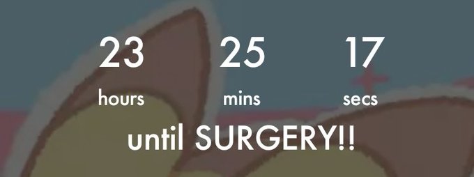 Sorry I stopped streaming, I just wanted to veg out. We are officially under 24 hours. I am emotional