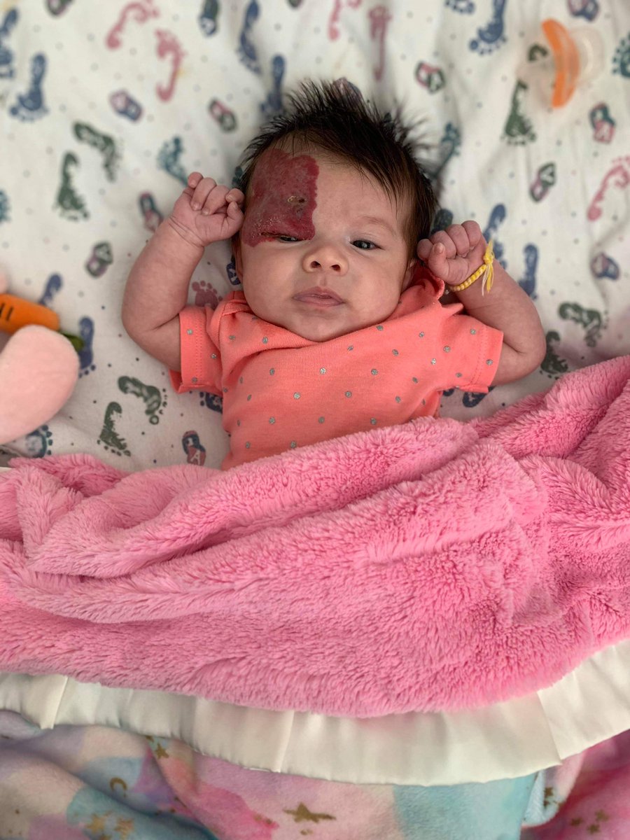Love_Lanoy's tweet photo. Can’t believe Katana 2 months already 🥺💕💛 https://t.co/xHl3O5PYsA