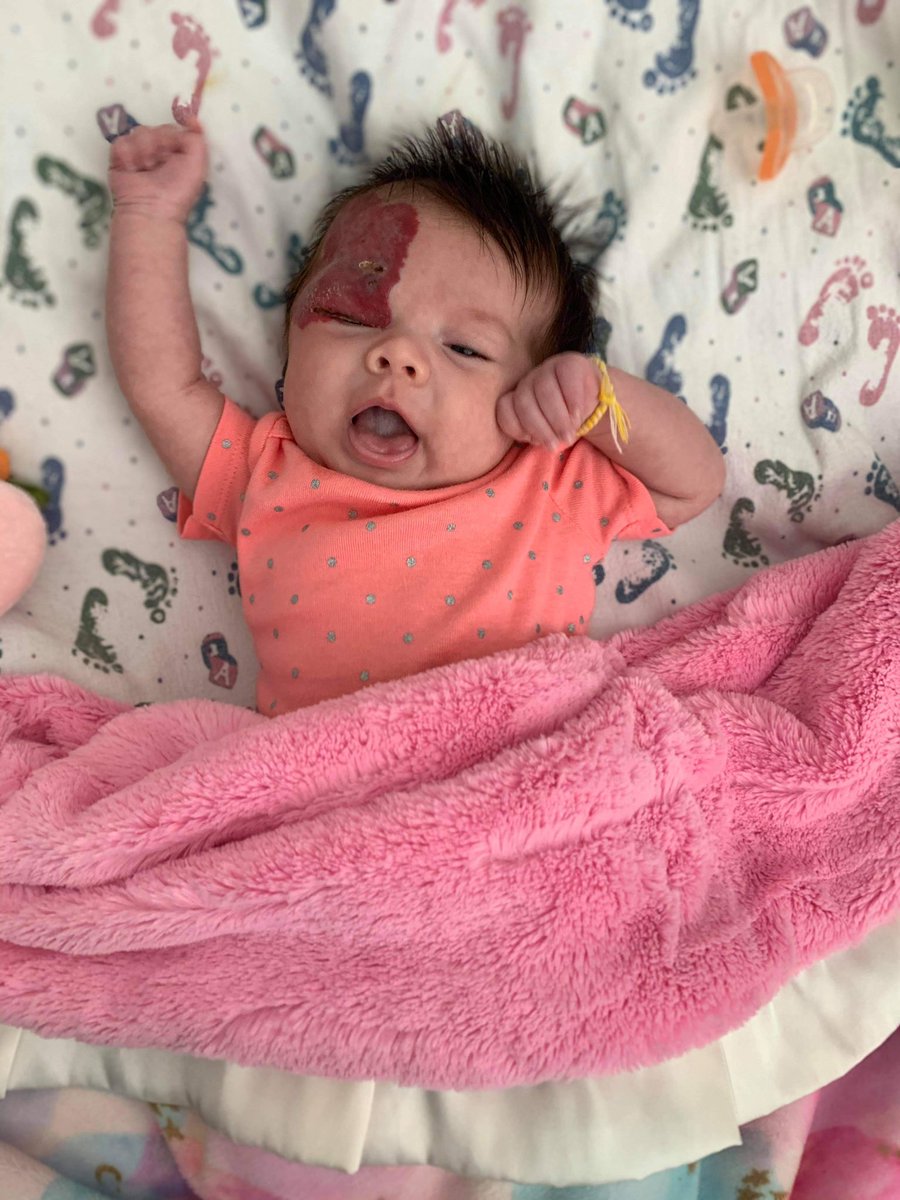 Love_Lanoy's tweet photo. Can’t believe Katana 2 months already 🥺💕💛 https://t.co/xHl3O5PYsA