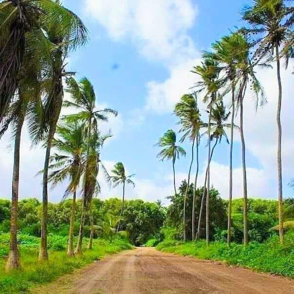drabdisalan2004's tweet photo. JANAALE, LOWER SHABELE.
#KGS https://t.co/ENQxBkCKEd
