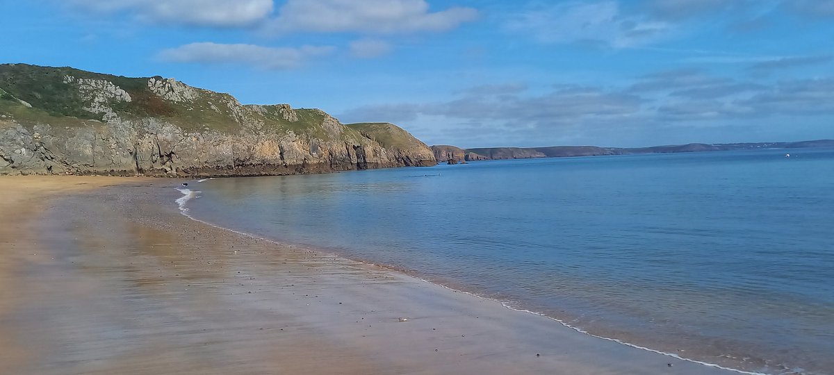 stdavidspembs's tweet image. Today, at #barafundle #pembrokeshire #walescoastpath