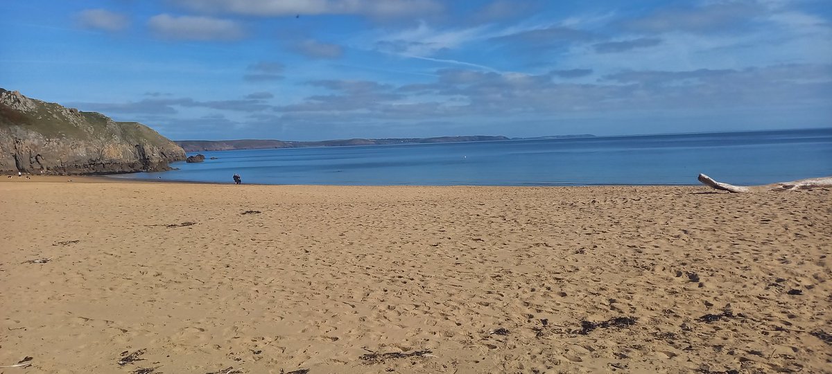 stdavidspembs's tweet image. Today, at #barafundle #pembrokeshire #walescoastpath