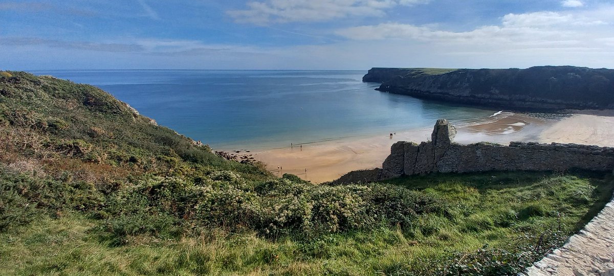 stdavidspembs's tweet image. Today, at #barafundle #pembrokeshire #walescoastpath