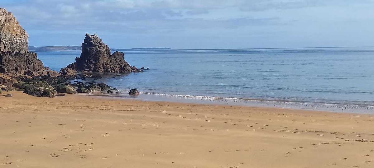 stdavidspembs's tweet image. Today, at #barafundle #pembrokeshire #walescoastpath