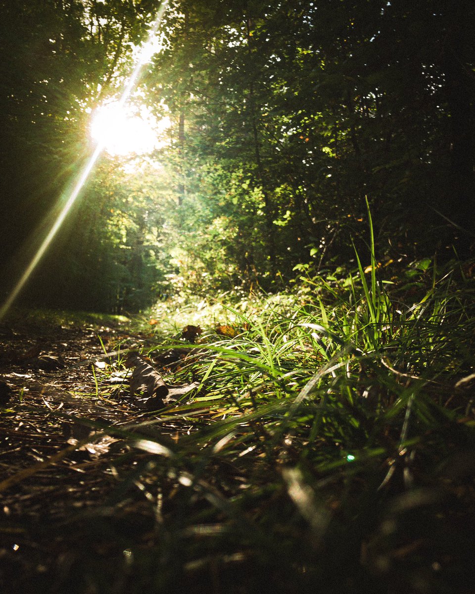 So wie wir in der Muschel am Ohr das Meer hören, so hören wir uns selbst in den Wellen am Strand oder in den Baumkronen des Waldes.

Manchmal tut‘s aber auch ein Fön, um das Kind einzuschläfern.

#waldspaziergang #kopffrei #gedankentanken