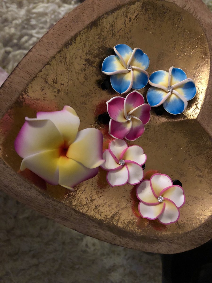 RNNguyener's tweet photo. It was a super busy week packing but we finally made it!! 🌺. So excited for my new journey and home❤️ #hawaii ❤️ 🤙 https://t.co/0I5TJBG37a