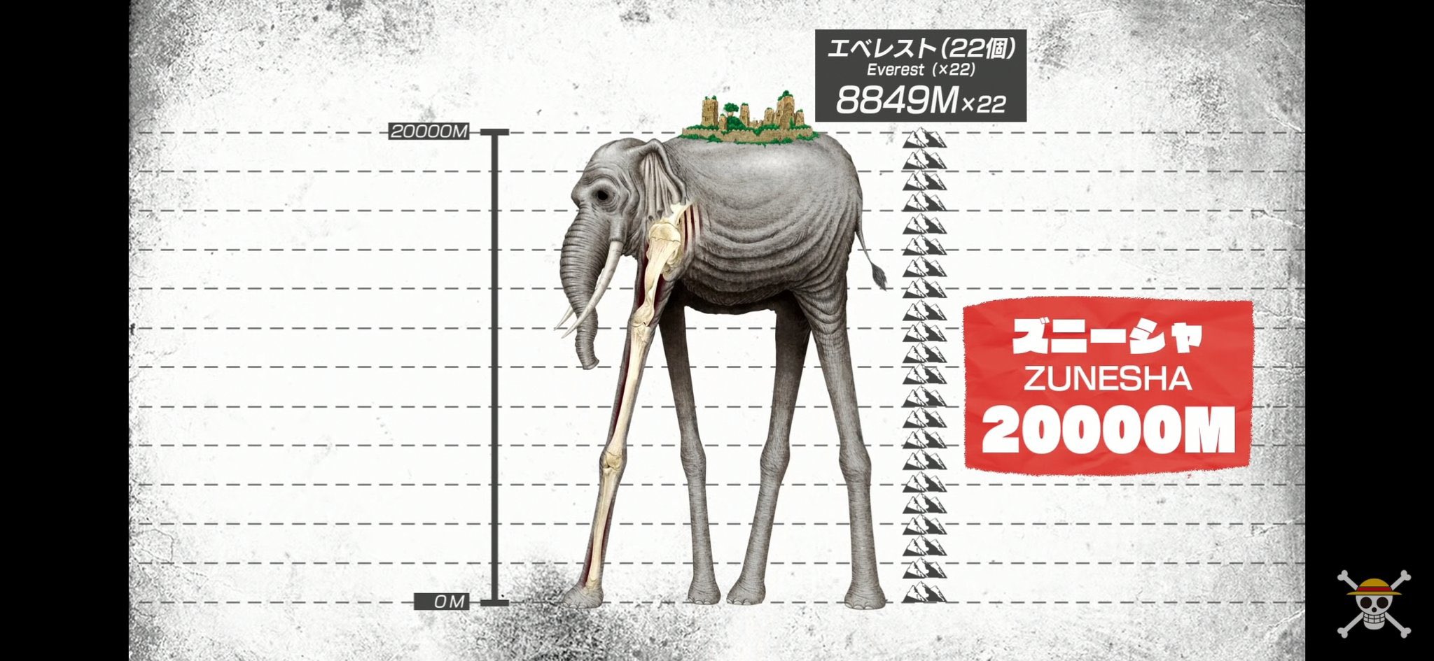 General & Others - Zunesha's height and length