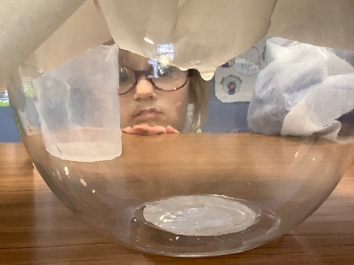 Wheeler_PS's tweet photo. In Year 1A we have been testing materials to see if they are waterproof. The fabric definitely surprised some of our scientists. #wheelerscience #primaryscience https://t.co/q90RRgUZNj