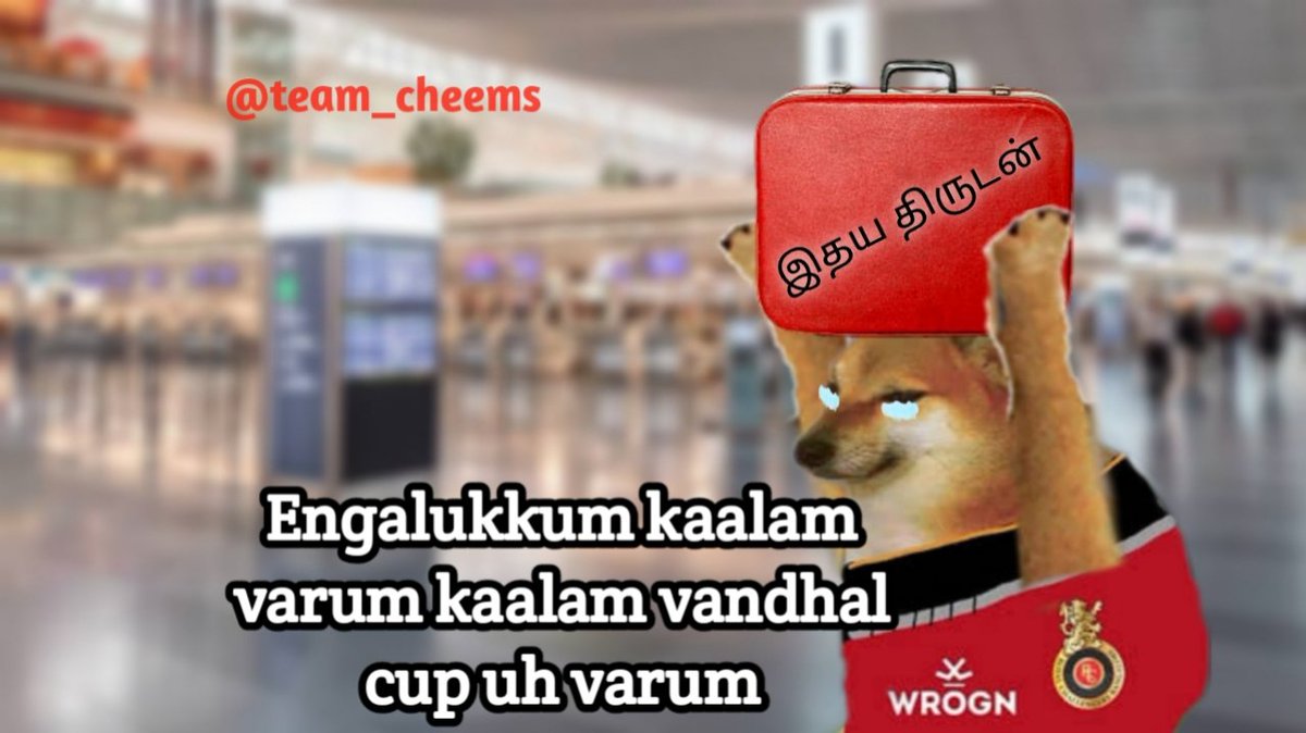 team_cheems's tweet photo. #RCB https://t.co/ATiEM8vu9x