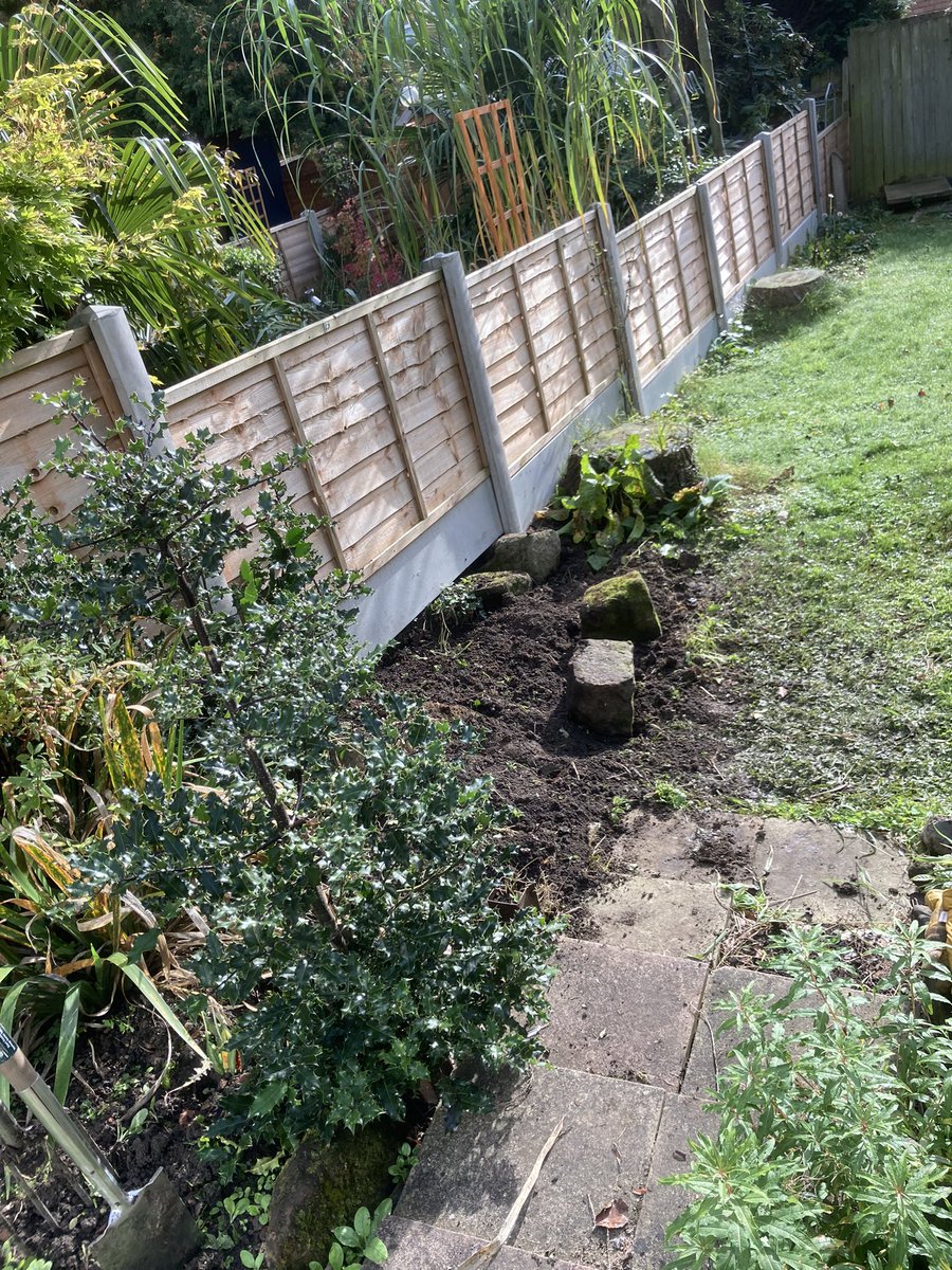SaraLyndel's tweet photo. Before and afters. #goodjobdone great #weather to #work in. #SUNOO #gardening #GardeningTwitter https://t.co/WFZ1vs9C1P