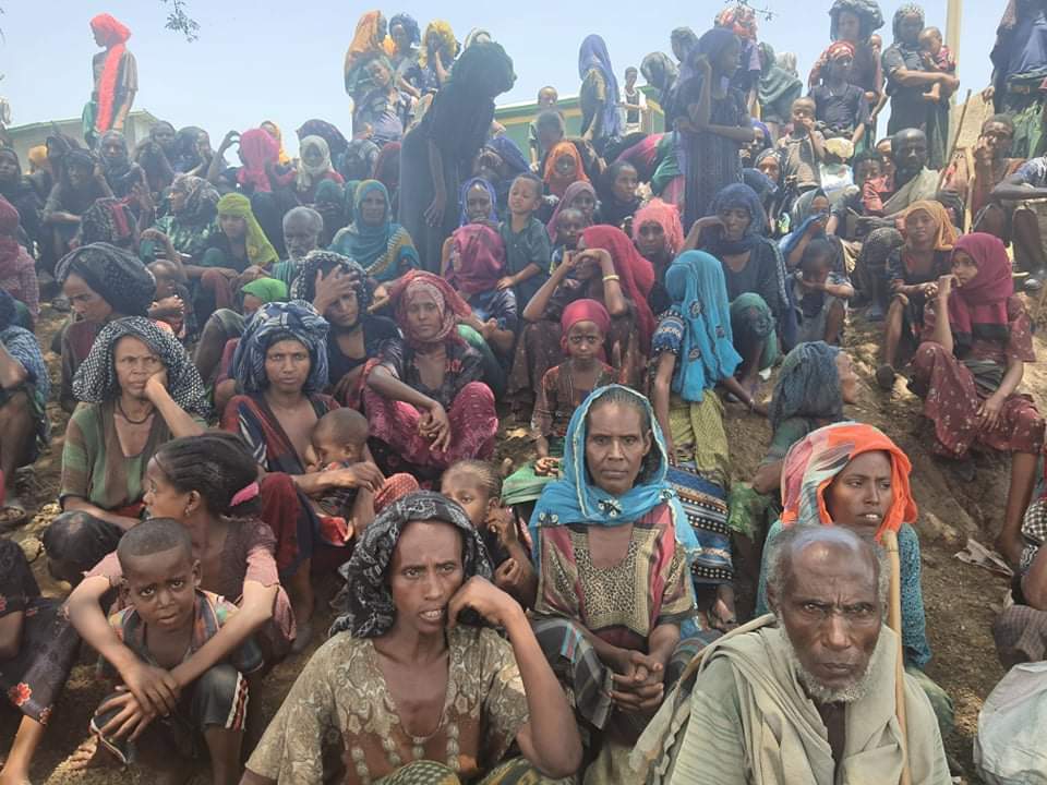 SuleimanAbdell7's tweet photo. ሁለተኛው መልዕክት #TheGenocider killed 1000 civilians in #Maikadra, #Galicoma, #Chena … just because they belong to a different ethnic group. This is a clear indication of Genocide &amp; War crime. #AtrocitiesByTplf #TplfTerroristGroup @amnesty @POTUS 
@RepMcCaul  @afitz3105 https://t.co/Z70UsUHe6i