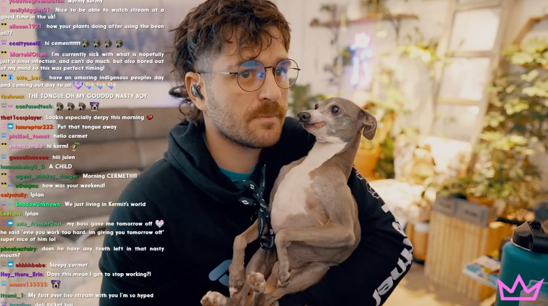 TheNastyFiles's tweet photo. julen is streaming this morning and a visitor(i hardly know er) showed up with his deli ticket https://t.co/MRgdsimvjY