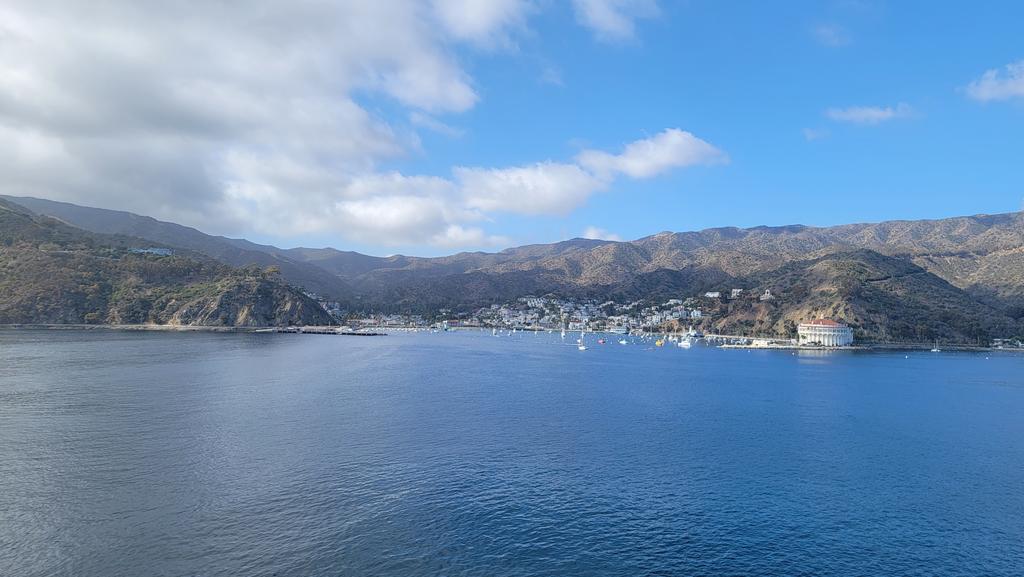 ManTripping's tweet image. Good morning @LoveCatalina_ @HALcruises #halcruises #koningsdam