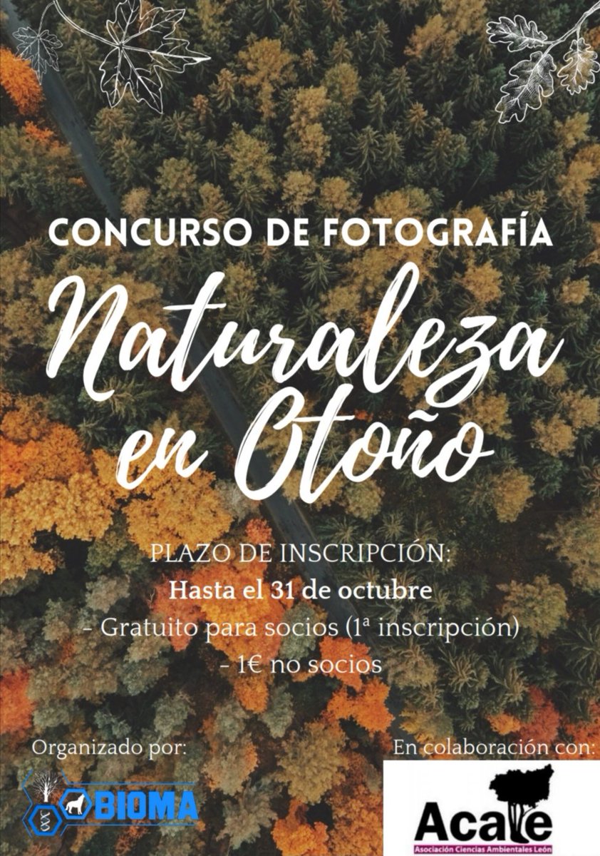 El Informer de la ULE. tweet media