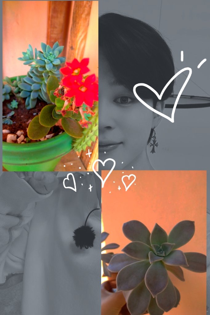 AlmaAlarcn4's tweet photo. @Armydomination1 No hace falta conocerlo mucho a fondo
para darse cuenta del gran corazón
que posee 💜💕,por eso y muchas cosas más es que lo amo, adoro, quiero, admiro y aprecio tanto💜🥺 Jimin es una persona maravillosa y talentosa.
#JIMINDAY #HappyBirthdayJimin #BTSARMY https://t.co/Rcr4YpREyn