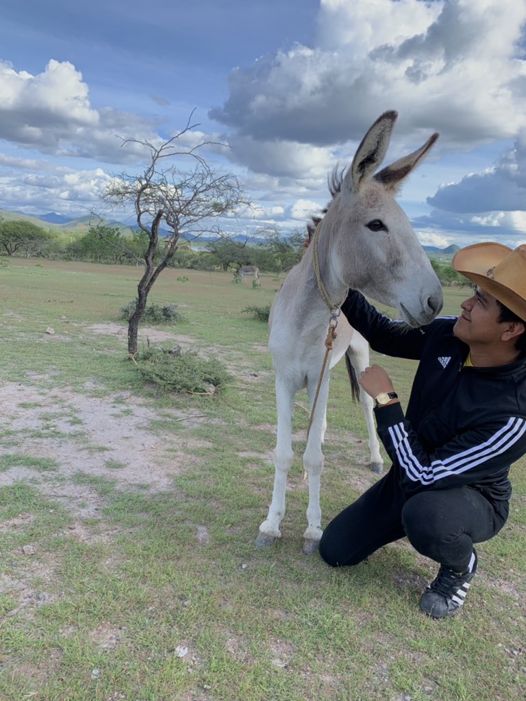 IsaacyAsi's tweet photo. 🌵 https://t.co/8WkbgiQ2GI