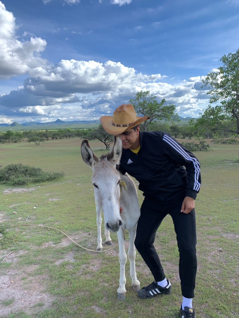 IsaacyAsi's tweet photo. 🌵 https://t.co/8WkbgiQ2GI