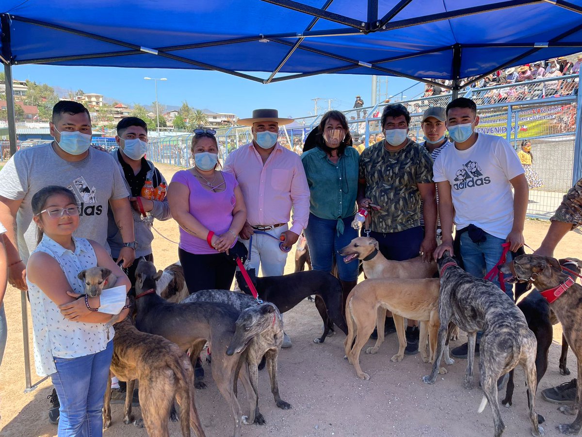 cachupines's tweet photo. 🤬 Candidata UDI Maria Ester Munnier hace campaña haciendo una *gran marcha “En defensa de nuestras tradiciones”* con galgueros y gente del rodeo en Olmue. Ella va por el distrito 6 de #valparaiso si la ve en su papeleta no avale el maltrato animal! No vote por ella! https://t.co/ByAwdr2HJB